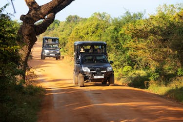 Yala National Park 4×4 Safari